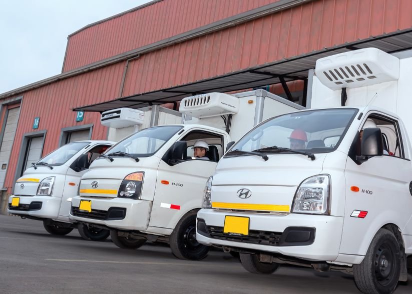 transporte-de-alimentos-congelados-requisitos-y-buenas-practicas-6980.jpg