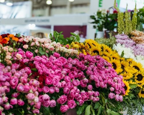 servicio-de-transporte-climatizado-o-refrigerado-de-flores-o-plantas_5872.jpg